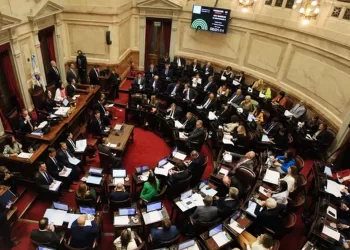 Ley Bases: el Senado lo debatirá el próximo miércoles