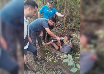 Un hombre con retraso madurativo y sordera sobrevivió perdido una semana en el monte misionero