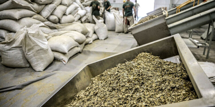 CAPITAL DE TRABAJO. La intención es fortalecer a dos sectores que dinamizan la economía y el empleo local.