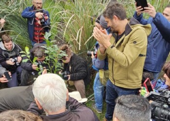 Yerbateros fueron recibidos en Casa Rosada y plantaron yerba en el Obelisco