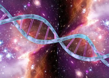 Hablamos sobre la Paz