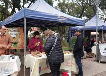 Sabor, variedad y calidad en la plaza “La Dulzura de mi Tierra”