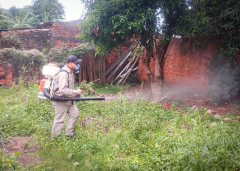 Ni el frío bajó la población de Aedes y la Muni hace fumigaciones preventivas