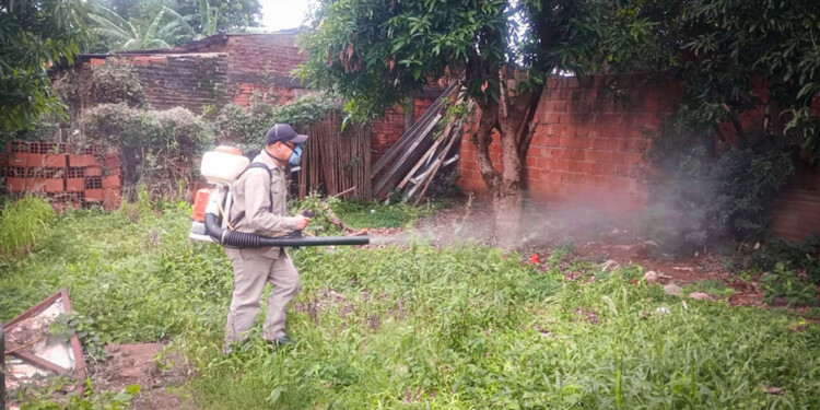 PARA NO REPETIR. El LIRAa de abril arrojó datos similares al de ese mes del 2023, previo al brote, por lo que se cambió la estrategia de abordaje.
