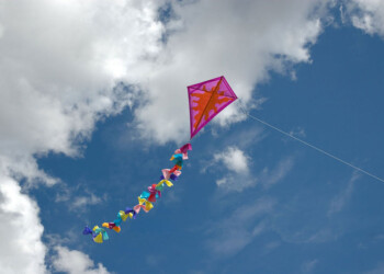 Realizarán una barrileteada por el Día Provincial de la Donación de Órganos en Eldorado