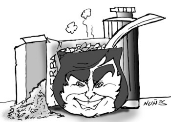 Yerbateros desesperados por la falta de escucha en la Nación y precios en baja