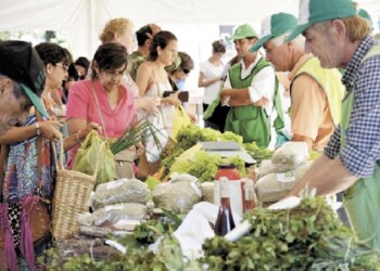 Índice de precios de las ferias francas subió un 10,3% y superó al IPC del NEA