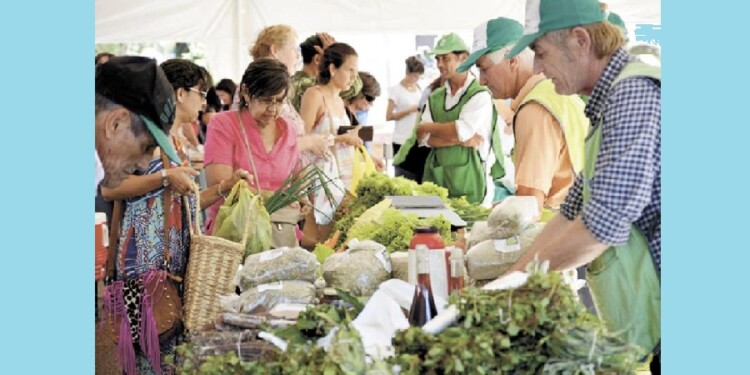 PRODUCTOS FRESCOS. Las frutas y verduras de las ferias son comercializadas por los colonos que las producen.