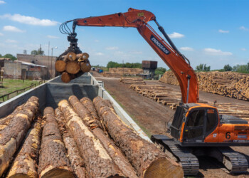 RIGI: estiman probabilidades “medias” para Misiones de recibir grandes inversiones