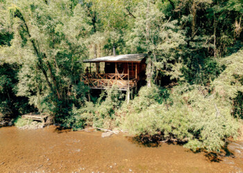 La Nación le debe a Misiones cerca de 500 millones de pesos por la Ley de Bosques