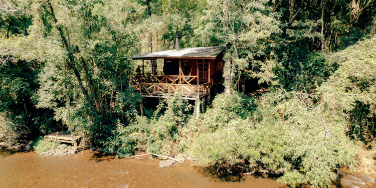 EXPLOTACIÓN. En la provincia son varias las reservas privadas que son destinadas a fines turísticos para ofrecer al visitante una experiencia más cercana a la selva.