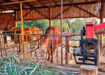 Granja La Lechuza: un lugar para convivir con la naturaleza y aprender de sus bondades