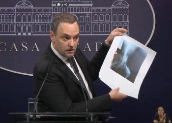 La radiografía de un perro que mostró Manuel Adorni al revelar las pensiones truchas por invalidez