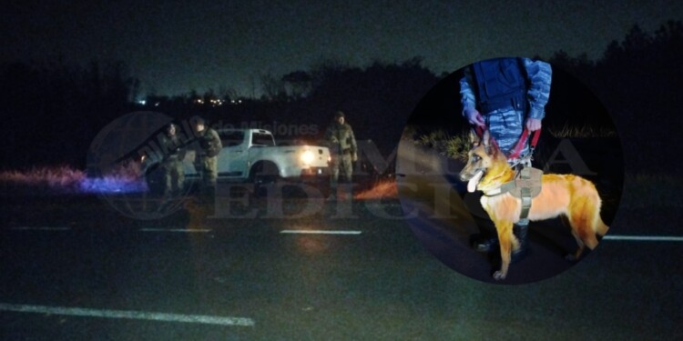 La perra Nicole, especializada en reconocimiento odorífico participa en el rastrillaje