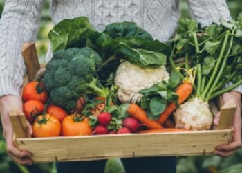 “Hacia una horticultura sostenible preservando la biodiversidad”