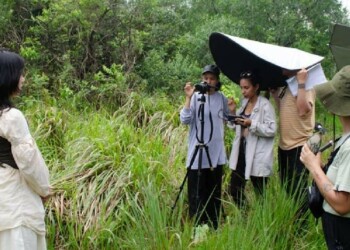 Misiones abre las primeras convocatorias del Plan Integral de Fomento del IAAViM