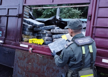 Gendarmería incautó tres toneladas y media de marihuana transportadas en un camión