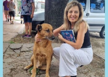 “Queremos modificar la Ley Nacional 14.346 y que haya penas más duras contra el maltrato animal”