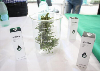 MisioPharma presentará el 31 de julio nuevo aceite MisCBD dúo con THC