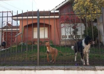 Autopsia determinó que misionero le asestó once puñaladas a su pareja