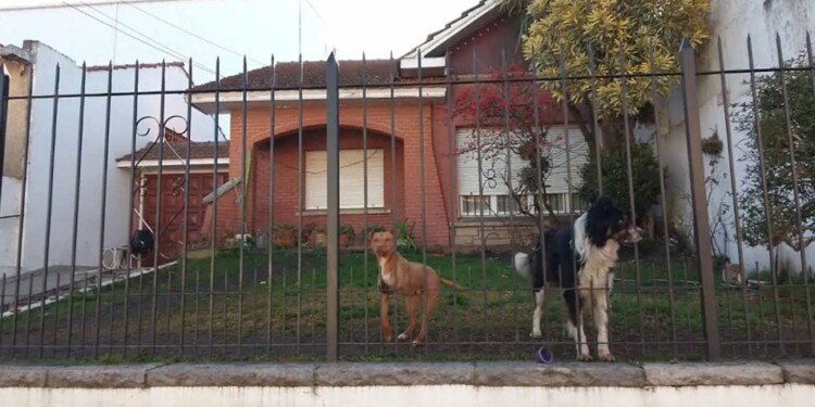 LA VIVIENDA. En esta casa fue cometido el femicidio, en Mar del Plata.