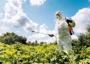 Mesa Socioambiental Misionera y Pueblos Originarios pidieron la prohibición del glifosato en la provincia