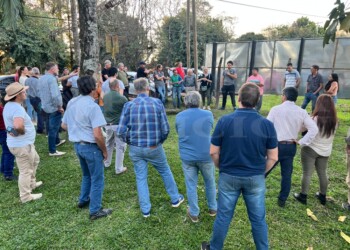 Yerbateros buscan crear una federación para “unificar precios” en la próxima zafra