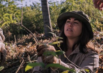 ¿Querés ser voluntario en la Reserva Natural El Puente Verde en Península Andresito?