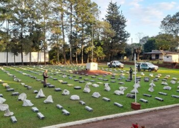 Frenan en Misiones un camión brasileño con casi 8 toneladas de droga