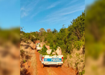 Detuvieron a un hombre mientras robaba yerba en una chacra