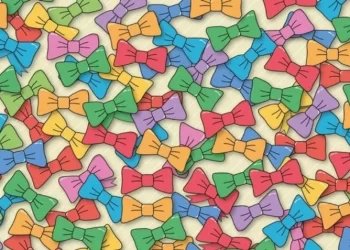 Acertijo visual imposible: ¿podés encontrar el regalo camuflado?