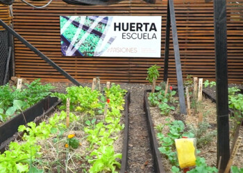 Por una alimentación saludable y cultivo sustentable