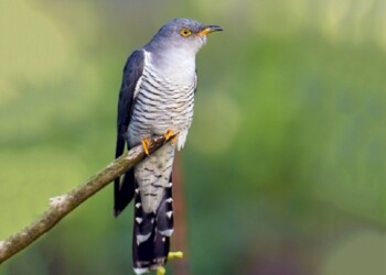 Ecosanación: sobre límites, amor propio y autoestima