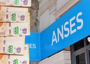 PUAM de ANSeS: cuánto cobro en agosto de 2024