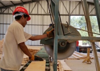 Creció el empleo y la desocupación a la vez: hay más gente en el mercado laboral