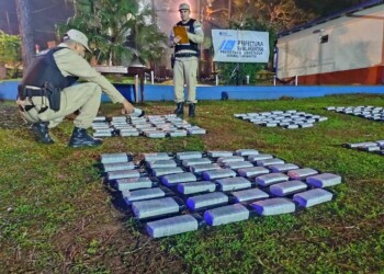 Prefectura secuestró un cargamento millonario de marihuana en Misiones