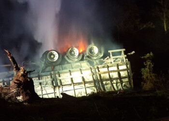 Camionero paraguayo murió calcinado tras chocar en Corrientes