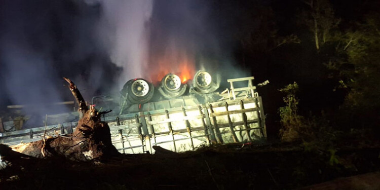 (Foto: filmacionas anly)