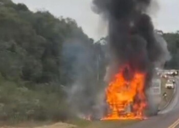 Camión se incendió en plena ruta 12 en Misiones