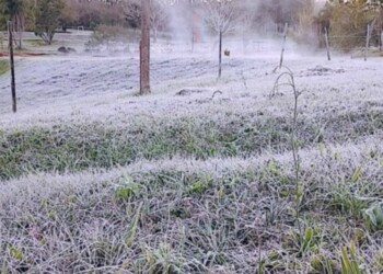 Anticipan “heladas y más heladas” para Misiones: desde cuándo