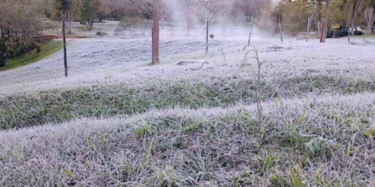 Anticipan heladas para este sábado