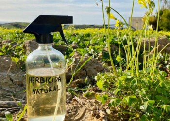 Herbicidas ecológicos: la naturaleza se cura a sí misma