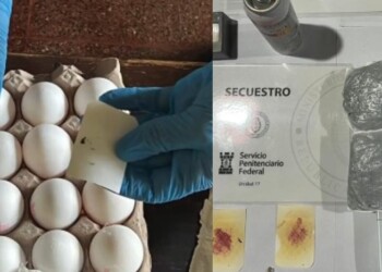 Incautaron huevos con “sorpresa” en la UP 17