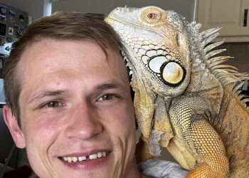 Vivir con una iguana y mostrarlo