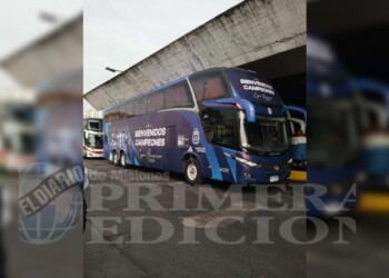 Fotos: así es el micro en el que se trasladará la Selección en su vuelta al país