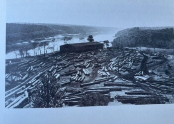 Jangada, ingenioso transporte de la selva misionera