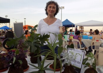 ¿Qué tan conectados están tus sueños y tu emprendimiento?