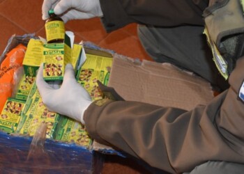 Corrientes: Gendarmería incautó ketamina de procedencia ilegal