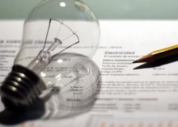 Subsidio a la luz: cómo saber si estoy inscripto al RASE