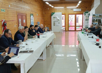 Forestoindustria en terapia: “Hay despidos, no hay ventas, las cobranzas demoradas”